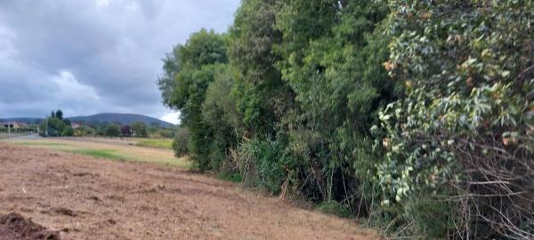 Terreno en Revoltiña s/n Sn