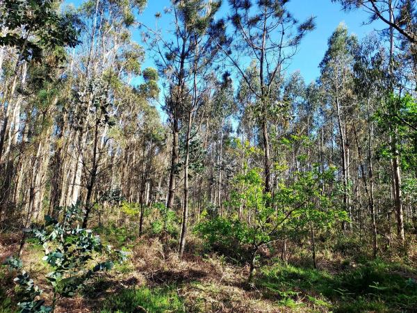 Terreno en alto da cruz s/n