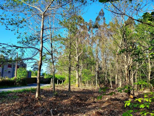 Terreno en alto da cruz s/n