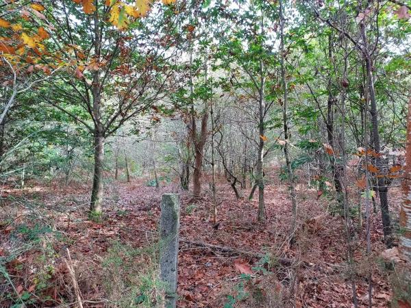 Terreno en alto da cruz s/n