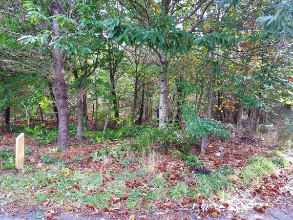 Terreno en alto da cruz s/n