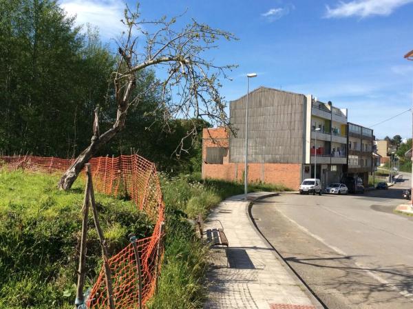 Terreno en camino Ouzande