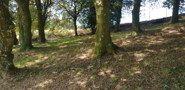 Terreno en Ep-7001 s/n