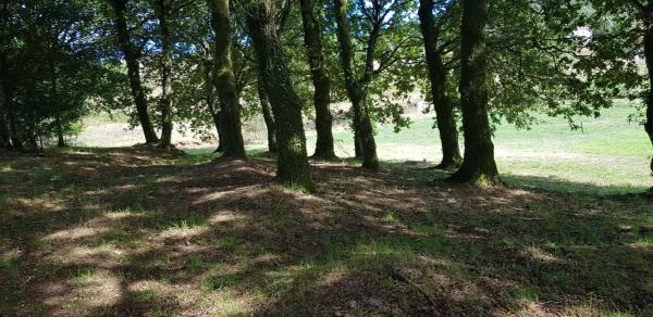 Terreno en Ep-7001 s/n