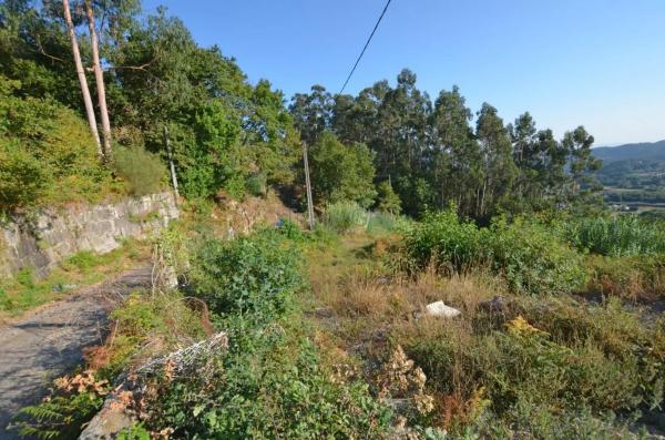 Terreno en Lugar Samuelle