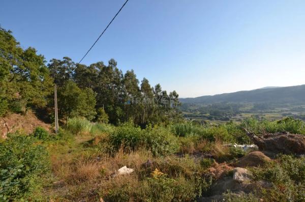 Terreno en Lugar Samuelle