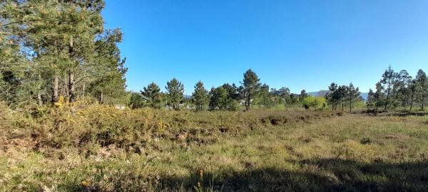 Terreno en Po-552, 15