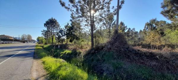 Terreno en Po-552, 15