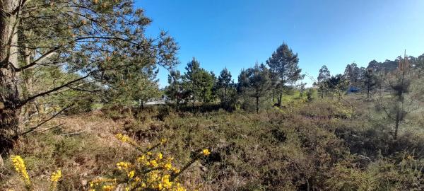 Terreno en Po-552, 15