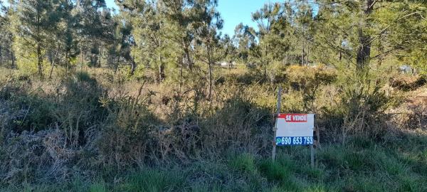 Terreno en Po-552, 15