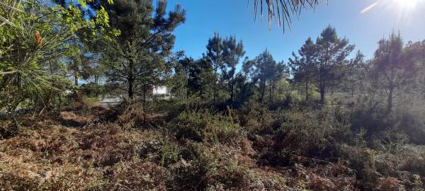 Terreno en Po-552, 15