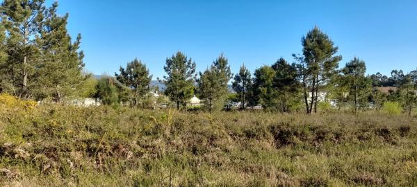 Terreno en Po-552, 15