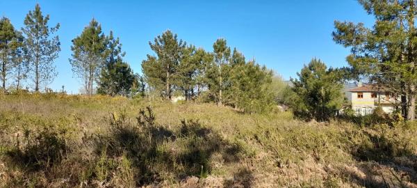 Terreno en Po-552, 15