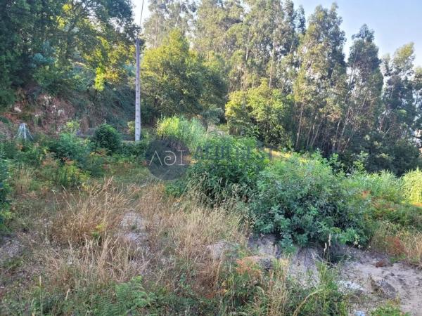 Terreno en calle Samuelle