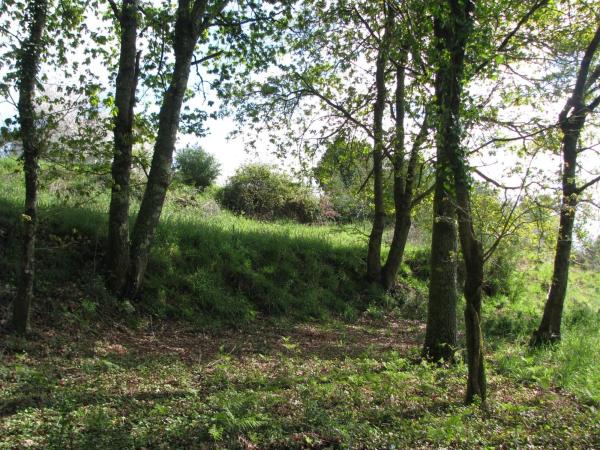 Terreno en calle sambade malvas s/n