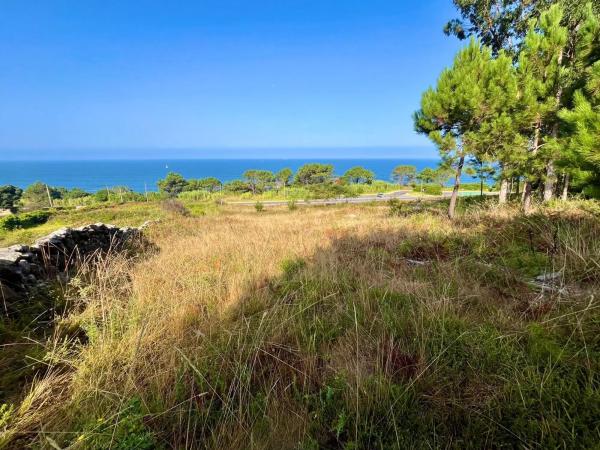 Terreno en calle Vista Alegre, 552 Po