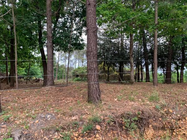 Terreno en Lugar San Bieito