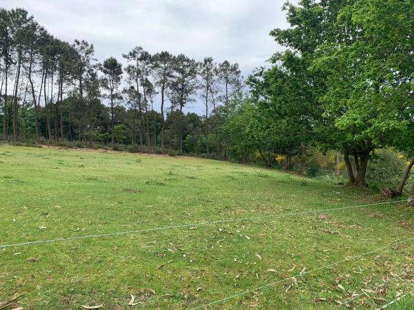 Terreno en Lugar San Bieito