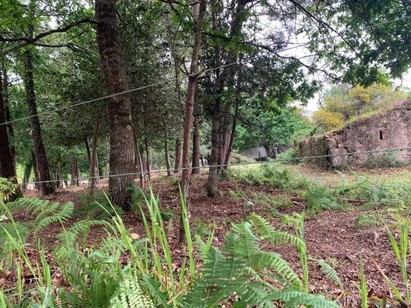 Terreno en Lugar San Bieito