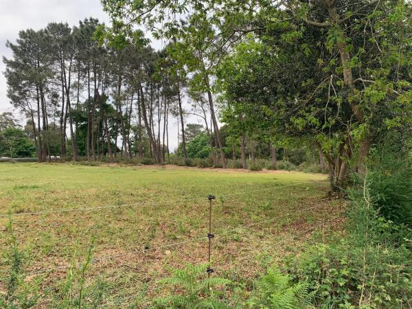 Terreno en Lugar San Bieito