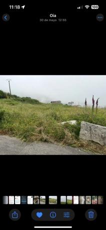 Terreno en Lugar a Riña, 2