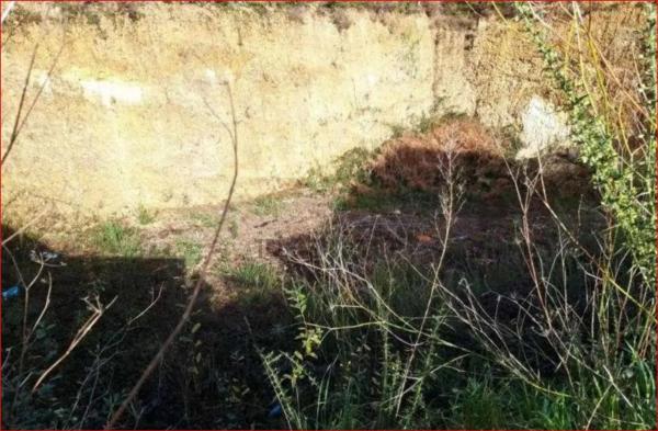 Terreno en calle Manuel Suárez Marquier s/n