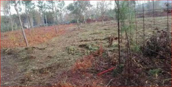 Terreno en calle Manuel Suárez Marquier s/n