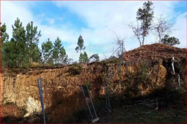 Terreno en calle Manuel Suárez Marquier s/n