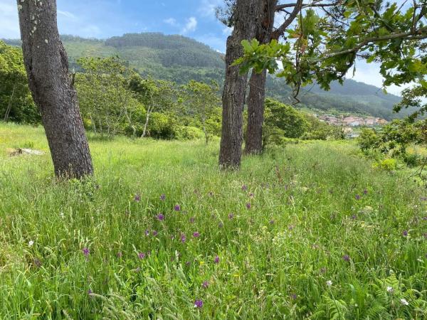 Terreno en calle Riña, 18 b