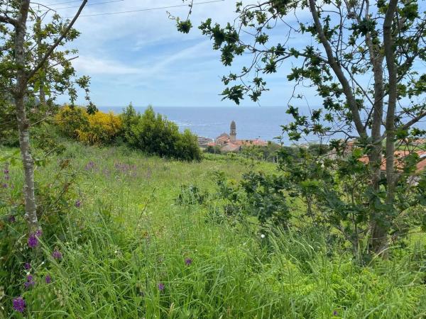 Terreno en calle Riña, 18 b