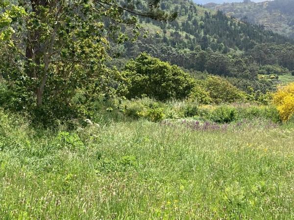Terreno en calle Riña, 18 b
