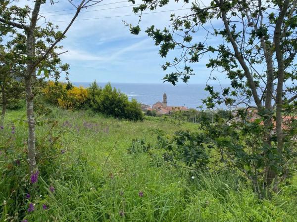 Terreno en calle Riña, 18 b