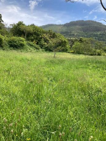 Terreno en calle Riña, 18 b