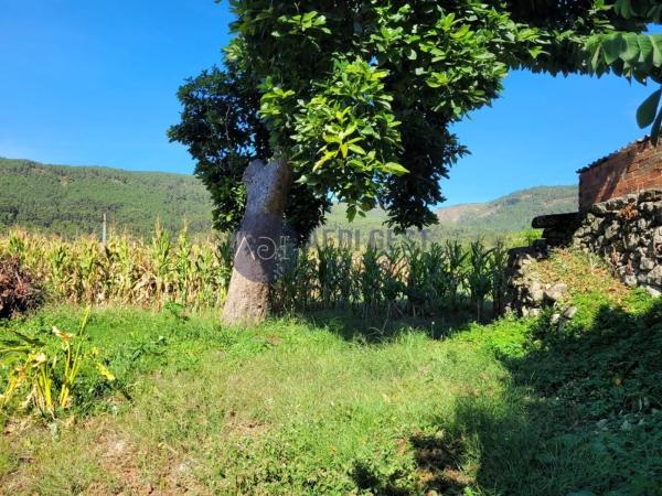 Terreno en Lugar a Granxa