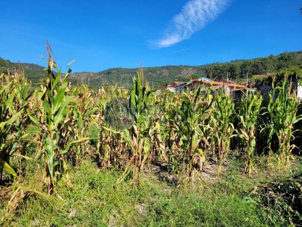 Terreno en Lugar a Granxa