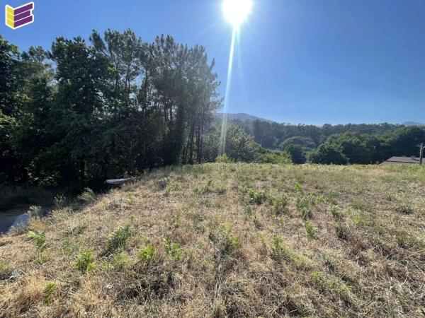 Terreno en calle Lugar a Fonte,tui