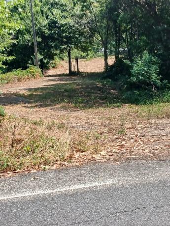 Terreno en P0-3101 Carretera de Cristelos- 19, 3101 Pocarreteracristelos