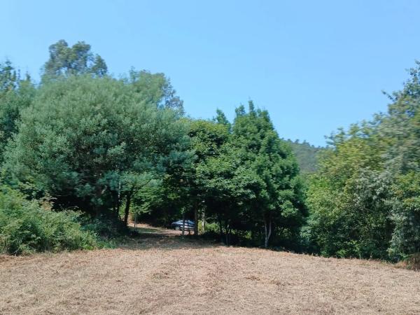Terreno en P0-3101 Carretera de Cristelos- 19, 3101 Pocarreteracristelos