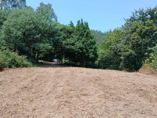 Terreno en P0-3101 Carretera de Cristelos- 19, 3101 Pocarreteracristelos