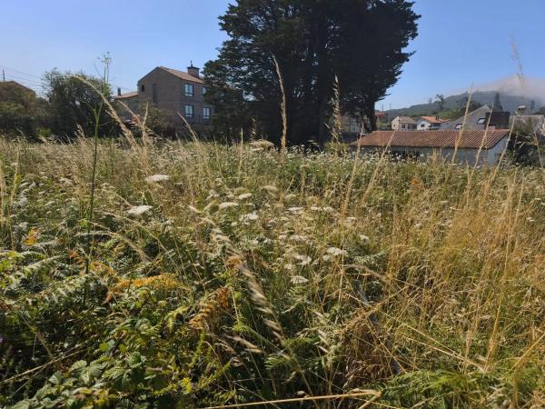 Terreno en camino Baiona - a Guarda s/n Sn