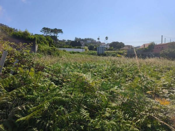 Terreno en camino Baiona - a Guarda s/n Sn