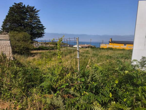 Terreno en camino Baiona - a Guarda s/n Sn