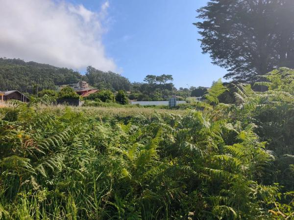 Terreno en camino Baiona - a Guarda s/n Sn