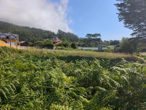 Terreno en camino Baiona - a Guarda s/n Sn