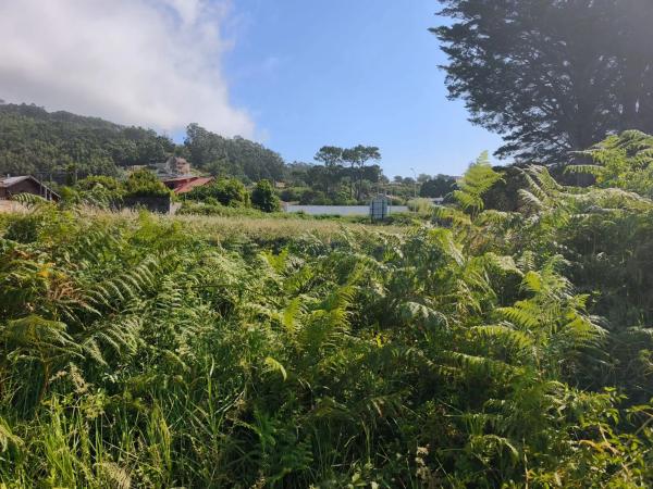 Terreno en camino Baiona - a Guarda s/n Sn