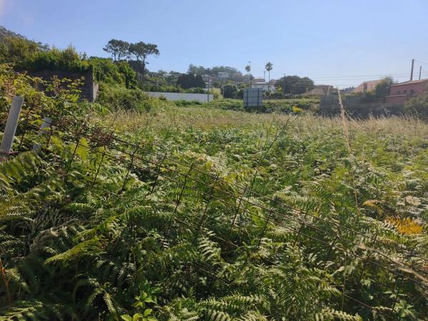 Terreno en camino Baiona - a Guarda s/n Sn