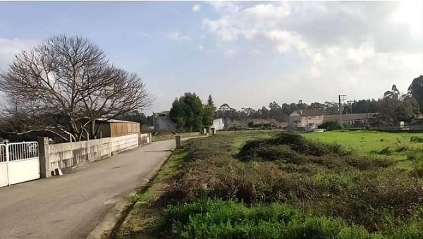 Terreno en Lugar o Monte, 12