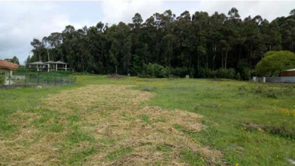 Terreno en Lugar o Monte, 12