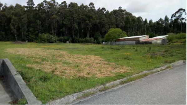 Terreno en Lugar o Monte, 12