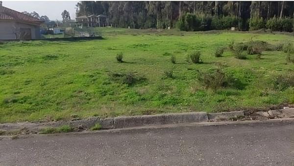 Terreno en Lugar o Monte, 12